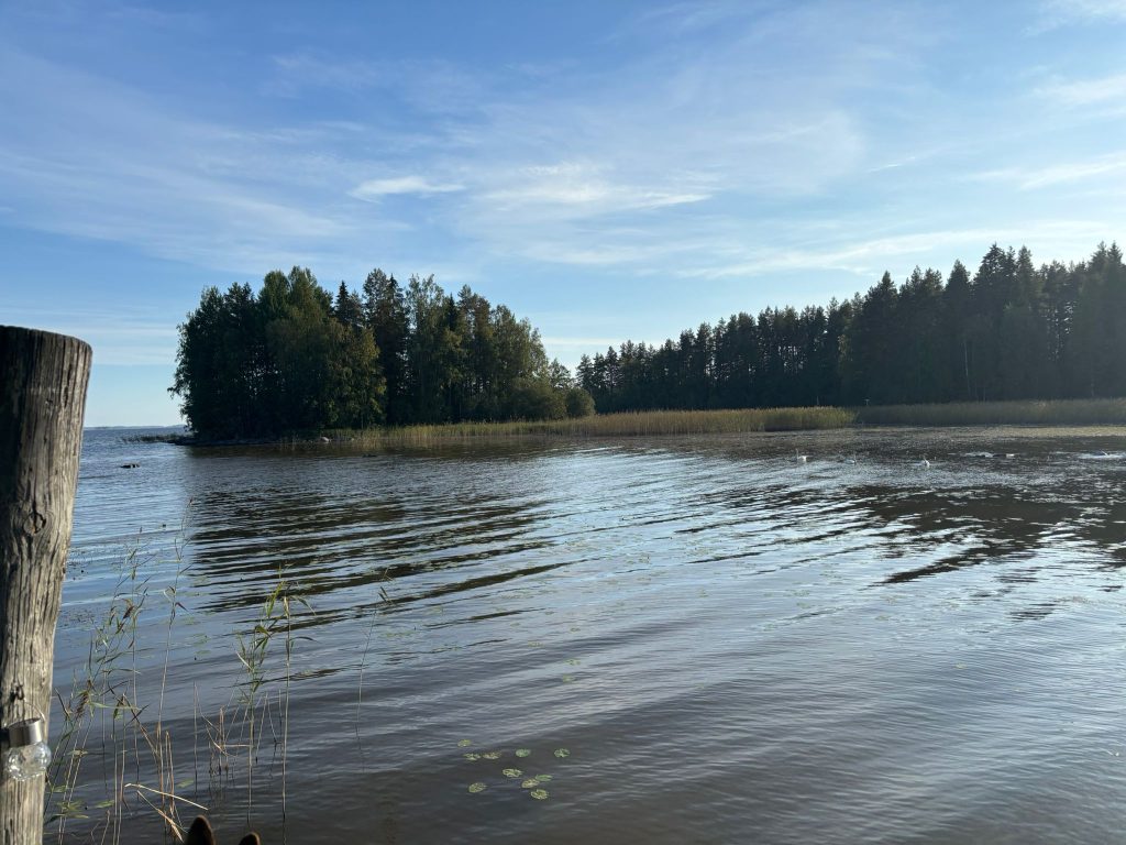 Rauhallinen järvimaisema kesäisenä tai alkusyksyisenä päivänä. Kuvan etualalla näkyy tyyni, hieman aaltoileva vedenpinta. Vasemmassa reunassa on vanha puinen laituri- tai paalunpää, ja aivan veden rajassa kasvaa muutamia korsia ja ruovikkoa. Vedessä kelluu muutamia pieniä lumpeenlehtiä.
Keskellä kuvaa järveen työntyy pieni metsäinen niemi tai saari. Puusto on tiheää: tummia havupuita ja vaaleampia lehtipuita. Oikealla rannassa jatkuu pitkä metsäranta, jonka edessä kasvaa kaislikkoa. Vedessä näkyy muutama valkoinen joutsen melko kaukana rannasta.
Taivas on kirkas ja sininen, ja siinä on ohuita, vaaleita pilviä. Aurinko paistaa oikealta suunnalta, mikä tekee veden pinnasta hopeanhohtoisen ja jättää metsän osittain varjoon. Tunnelma on hyvin hiljainen, luonnonläheinen ja levollinen.